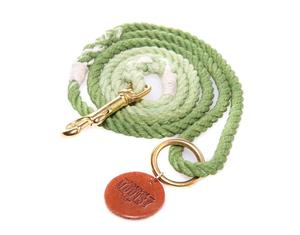 Braided Dog <b>Leash</b> - Product Image 1