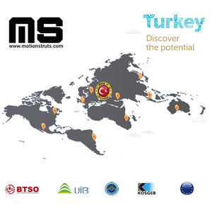 A18-220-489mm 9059RB Inoxline Stainless Steel Aisi316 Cylinder Industrial <b>Marine</b> Gas Prop Rust Proof Chrome Compression <b>Salt</b> - Product Image 6