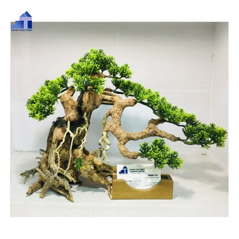 Hete Verkoop 2023 Bonsai Drijfhout Voor Aquariumaccessoires Whatsapp + 84 961005832