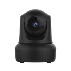 JH-C29s Wifi Indoor Camera Met Wifi Afstandsbediening Voor Auto Gate