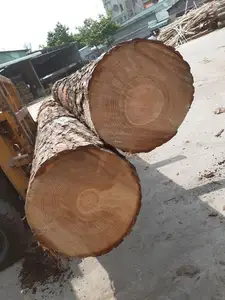 वियतनाम से पाइन लकड़ी लॉग कम कीमत बनाने लकड़ी