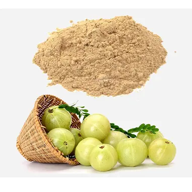 Hochwertiges frisches sprüh getrocknetes Obst Amla-Pulver Heiß verkaufendes Bio-Amla-Pulver/Amla-Frucht extrakt pulver zum günstigen Preis