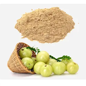 Poudre d'amla de Fruits secs en Spray frais de haute qualité 100%, vente chaude, poudre d'amla/Amla d'extrait de Fruit biologique à bas prix