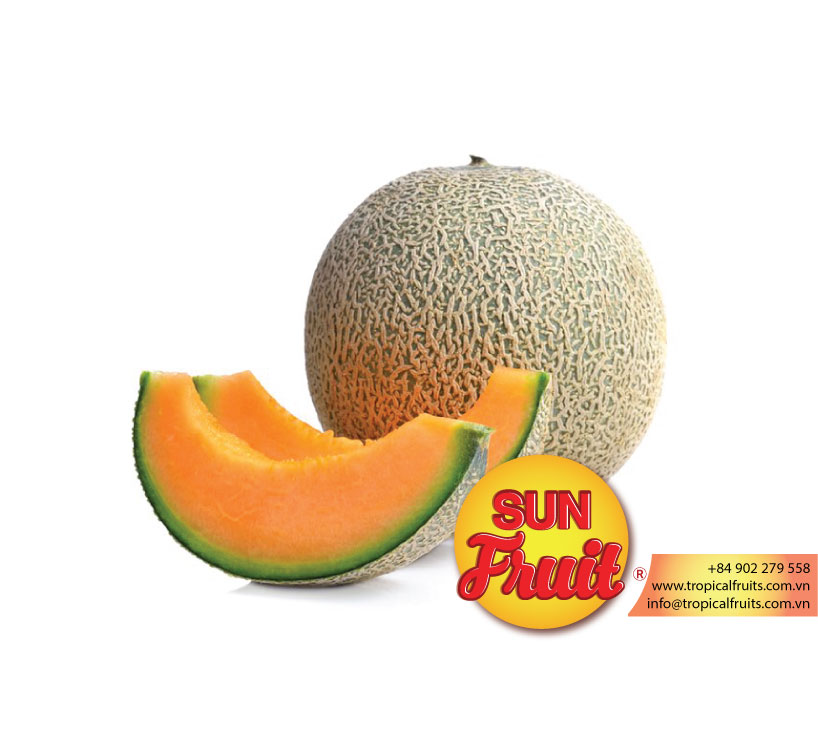 Оптовая продажа дыни