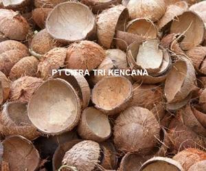 EGYPT GOOD QUALITY 100% <b>COCONUT</b> SHELL <b>CHARCOAL</b> LUMP <b>CHARCOAL</b> MAKING MACHINE <b>CHARCOAL</b> FOR BBQ GRILL IN Faiyum EGYPT - Product Image 4