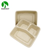 Assiette carrée jetable en bagasse de canne à sucre et bambou non blanchi, technique givrée, écologique, pour camping, 9x9 8x8