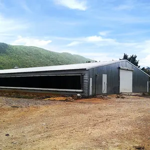 Стальная конструкция птичник Современная ферма куриный дом