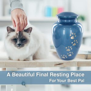 Small Eco-Friendly Durable European Style Pet <b>Urns</b> with Customizable Design for Cremation and Ashes - Product Image 5