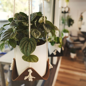 Porte-plantes magique fait main - Product Image 1