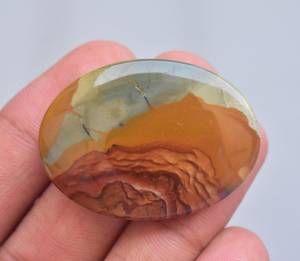 Unique <b>Pattern</b> American Picture Jasper Cabochon All Mix Shape Cabochon Loose Gemstone - Product Image 4