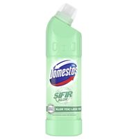 Vente en gros directe d'usine, blanchiment sans chlore Domestos, brise océanique, 675 ml