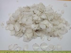 เครื่องชั่งปลาแห้งคุณภาพสูง/เกล็ดปลาจากเวียดนาม (00 84 845 639 639)