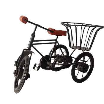 แสดงภาพ