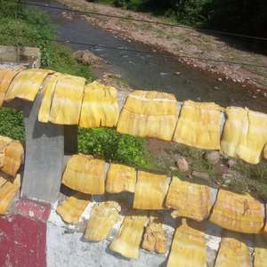 Brotes de Bambú Secos Deliciosos para Cocinar al por Mayor (Precio de Oferta) - Product Image 4