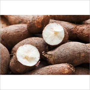 Tapioca fresca/yuca, tapioca congelada IQF, pasta de tapioca triturada congelada // Sra. Beatrix - Product Image 3