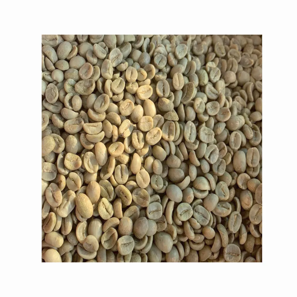 Arabica Green Coffee Bean Hot Selling Brand Supplier Whole Bean Coffee Good Price For Export From Vietnam OEM ODM Service