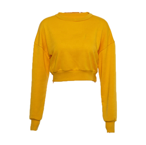 Wholesale Women <b>Jumper</b> Custom Logo Hot Girl Women Clothing Crop Top Long Sleeve <b>Plain</b> Blank Cropped Thick Cotton Hoodies Hoodie - Product Image 3