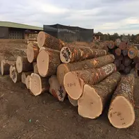Tronchi rotondi in legno di castagna tronchi e pali pelati
