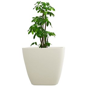 กระถางกลางแจ้งที่ทนทานสำหรับบ้านและสำนักงาน - Product Image 1