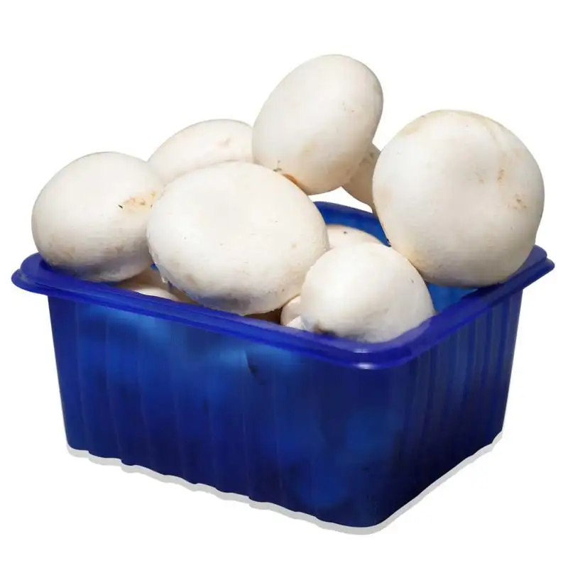 Биоразлагаемая упаковочная коробка для свежих продуктов для грибов PP пластиковый лоток