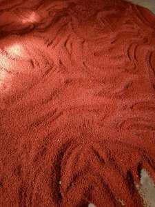 Semillas de Roucou Achiote de Primera Calidad al por Mayor - Semilla de Annatto Ms.Lucy +84 929 397 651 - Product Image 2