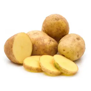 Yüksek kaliteli % 100% organik taze en kaliteli ihracat odaklı taze sarı deri patates düşük fiyat ile bangladeş