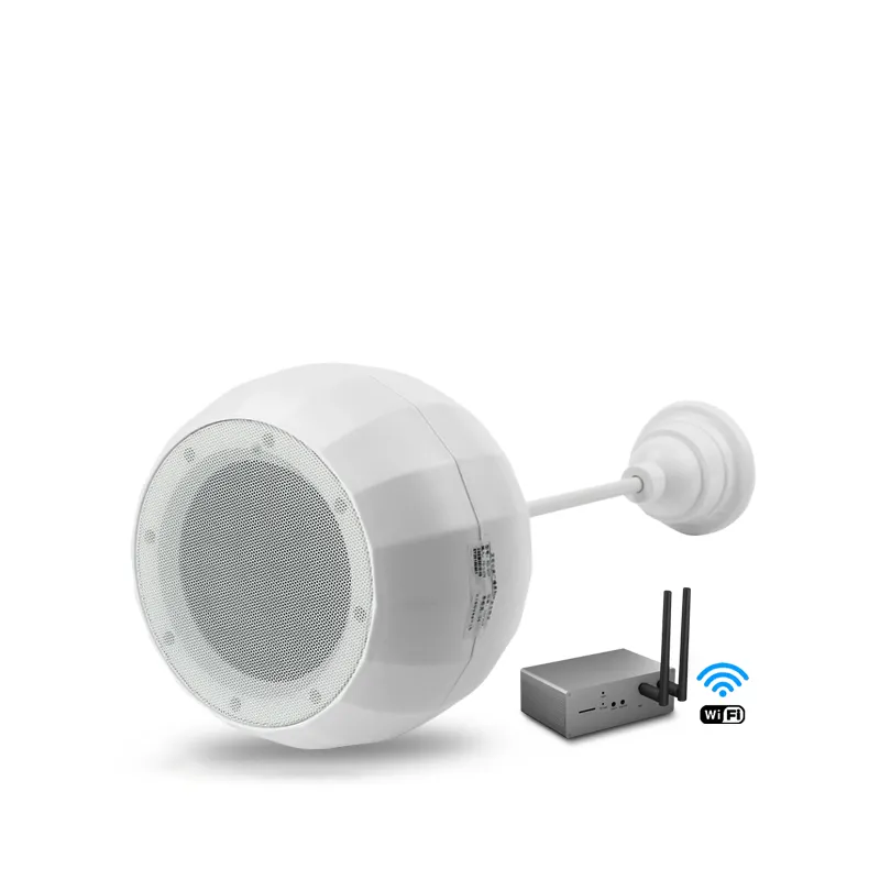 KD-907 Intelligente Wifi Muur Opknoping Sound Ball Speaker Audio Winkel Restaurant Plafond Luidspreker