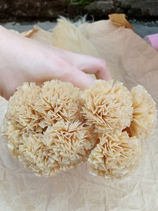 Extensiones de cabello con punta en V de queratina al mejor precio, cutícula de cabello humano virgen vietnamita más vendida de alta calidad alineada - Product Image 4