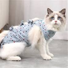 Vêtements pour animaux de compagnie, vente en gros, 2021 - Product Image 2