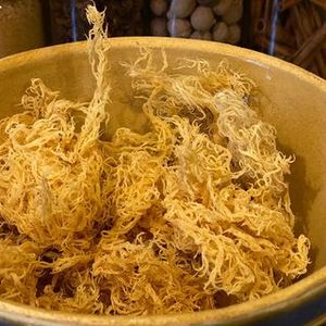 HIGH GRADE <b>SEA</b> <b>MOSS</b> IRISH <b>MOSS</b> EXPORT to US, CANADA, <b>UK</b>, AUTRALIA/ Amber + 84383004939 - Product Image 3