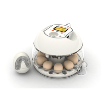 Incubateur d'œufs de pigeon Rcom PRO PLUS 10 avec conditions d'incubation optimales entièrement automatiques et sélection des œufs