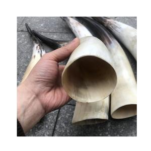 Articles en corne de buffle vintage élégants, objets décoratifs pour la maison, vaisselle avec base en bois pour la vente en gros - Product Image 4