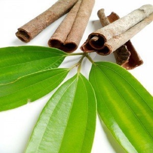 Huile essentielle de feuille de cannelle pure certifiée biologique de haute qualité - Product Image 4