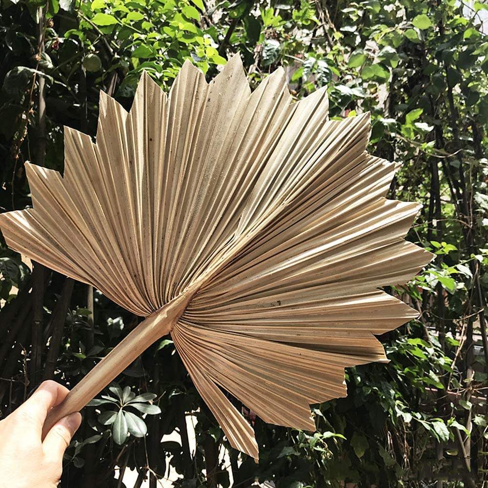 ธรรมชาติ