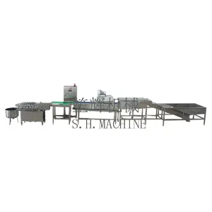 Commercial egg cleaning/air-dried/ light inspection/knocking production line machine egg yolk and egg liquid separato