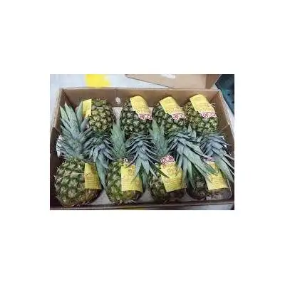 Ananas fresco (ananas regina fresco)