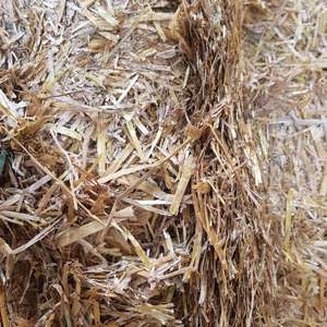 Paille de blé hachée jaune Halmeko de qualité supérieure en gros balles de 600 kg (1-7 cm, humidité maximale de 13 %) pour l'alimentation animale en provenance de l'Union européenne - Product Image 2