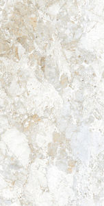 การออกแบบด้านหน้ากระเบื้องปูพื้นพอร์ซเลนขนาด 600x1200 มม. เซรามิกและการผลิตพอร์ซเลนในอินเดียสําหรับบ้านหรูหรา - Product Image 2