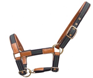 Halters de cheval de selle anglais personnalisés de qualité supérieure en cuir souple rembourré avec couleur et logo personnalisés en laiton - Product Image 3
