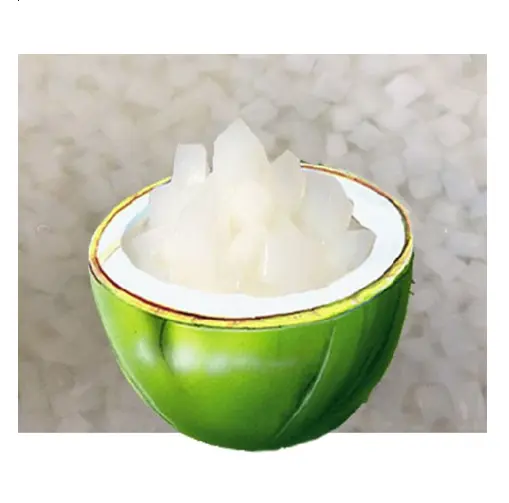 इंद्रधनुष नारियल जेली/रंगीन नाता डी कोको-ठंडे पेय पदार्थों और मिठाई के लिए उपयुक्त है।