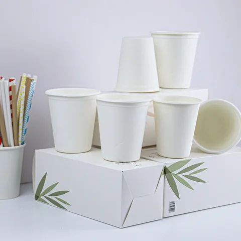 Mugs Custom Disposable Double Walled Dome Lid Push Top Lids 8oz And 12 Oz For Coffee Cups