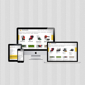 Entreprise de développement électronique de commerce électronique, pour l'europe du nord, Top leader dans le monde, pour services de développement - Product Image 1