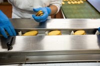 1500g Offelle di Parona Biscuits Giuseppe Verdi Sélection biscuit