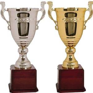 Poids incroyable pour collectionneurs, récompense en métal doré, pour fonctions scolaires et compétitions, prix de gros - Product Image 6