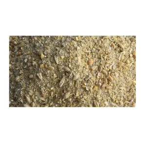High Quality Organic Layers Mash Feed For Animal at Cheapest Wholesale Prices Available In Huge Stock