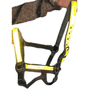 VENDRE DU CUIR VÉRITABLE Licou en cuir de cheval DANS; dollar 5 tailles plein cob Shetland - Product Image 4