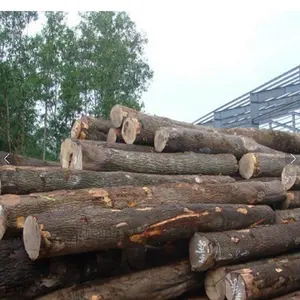 Promotie Verkoop Ronde Teak Hout, Grenen Hout Logs, azobe Houtblokken Voor Verkoop/100% Hardhout Eucalyptus Houtblokken Voor Verkoop