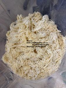 Mousse de mer/Mousse irlandaise/Eucheuma Cottonii du Vietnam Mme Lily + 84 906927736 - Product Image 2