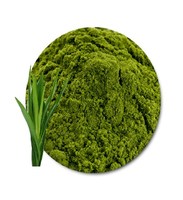 Poudre d'extrait de feuille de pandan 100% pure pour les soins de santé Fabriqué au Vietnam