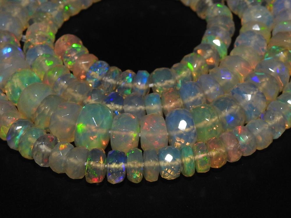 Multicolore